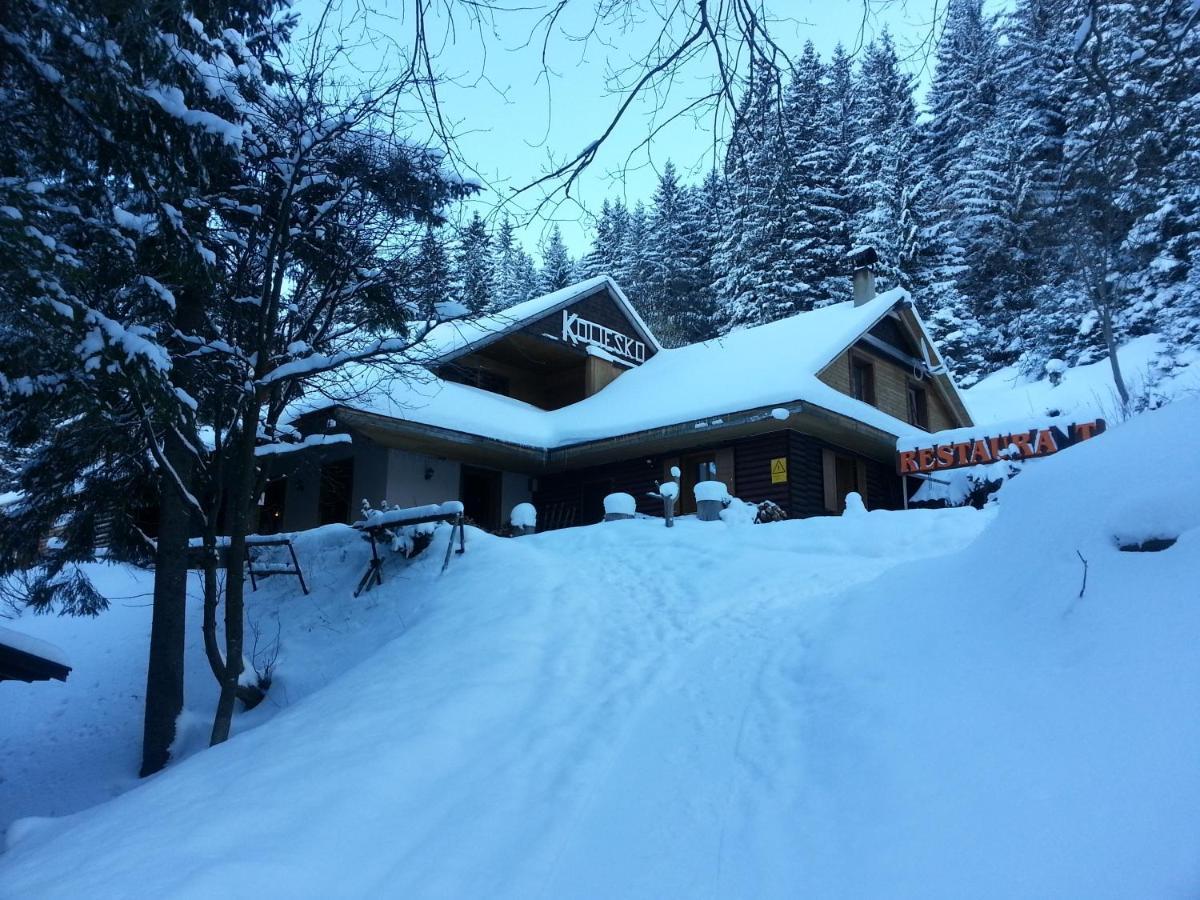 Guest house Koliesko *